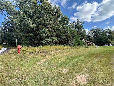 364 Lake Shore Dr, Wisconsin Dells, WI 53965 - photo 3