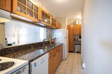 171 W 8th St unit 1, Boston, MA 02127 - photo 5