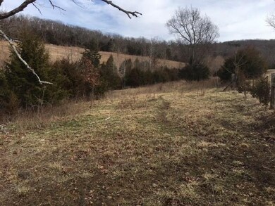 TBD Rothrock Rd, Elkins, AR 72727 - photo 7