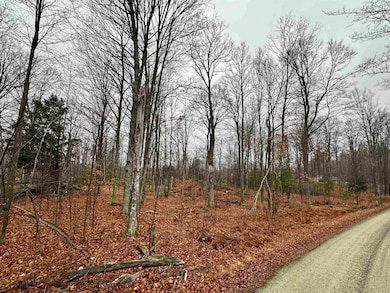 Lot 60 Chip n Dale Dr, Pickerel, WI 54465 - photo 3