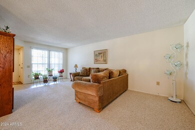 10717 W Santa fe Dr, Sun City, AZ 85351 - photo 4