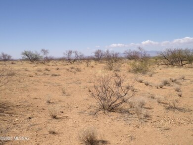 TBD S Jeffords Trail unit 35, Willcox, AZ 85643 - photo 4