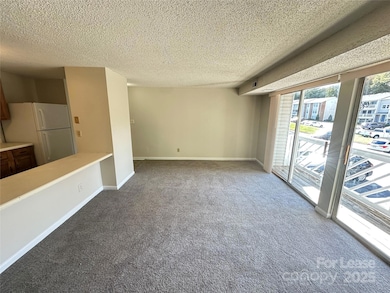 9520 Shannon Green Dr unit E, Charlotte, NC 28213 - photo 4