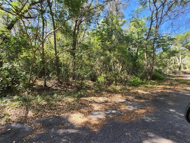 TBD Guava Terrace, Ocklawaha, FL 32179 - photo 5