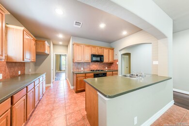 24047 Waterhole Ln, San Antonio, TX 78261 - photo 6