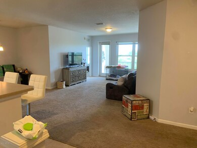 Entry and Great Room