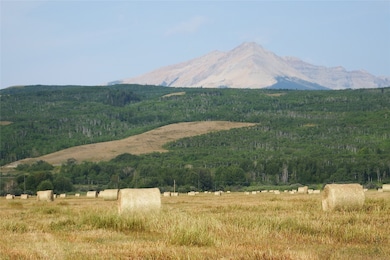 1 Boulder Dr, Babb, MT 59411 - photo 5
