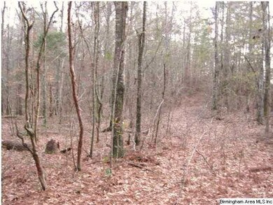 Old Road bed