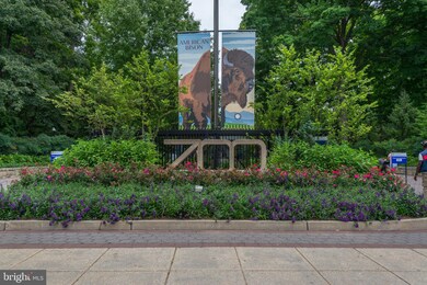 2730 Ordway St NW unit 6, Washington, DC 20008 - photo 2