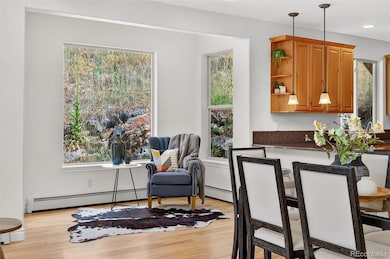 3144 Snow Trillium Way, Evergreen, CO 80439 - photo 6