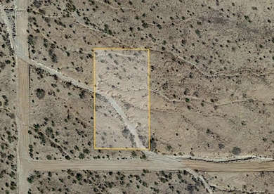 San Pablo Rd SE, Deming, NM 88030 - photo 3