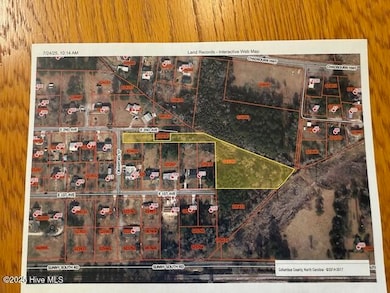 715 E 1st Ave, Chadbourn, NC 28431 - photo 3