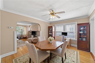 Dining area with ceiling fan, light hardwood floors, and crown molding