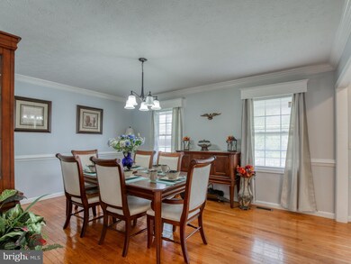 617 Bittersweet Ct, Winchester, VA 22601 - photo 5