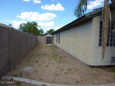 BACKYARD (4)