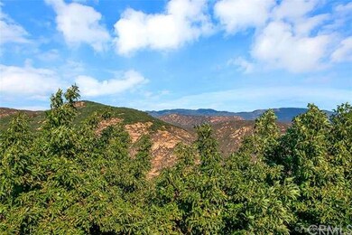 32731 Mesa Lilac Rd, Escondido, CA 92026 - photo 6