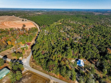 15.6+/- Acres Rose Hill Dozier MacEdonia Rd, Andalusia, AL 36421 - photo 4
