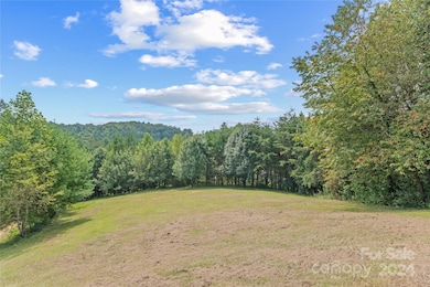 28 Sheppard Branch Rd, Weaverville, NC 28787 - photo 3