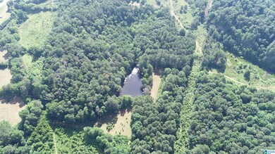 0 U S 231 unit 21390285, Oneonta, AL 35121 - photo 7