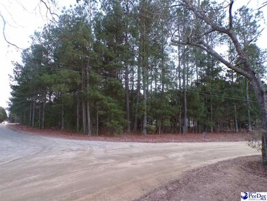 TBD New Holly & Millwood, Dillon, SC 29536 - photo 4