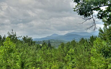 Additional View