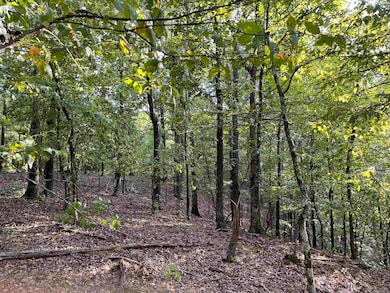 84 N Old Factory Site Rd, Murfreesboro, AR 71958 - photo 2