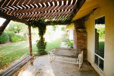 Back patio