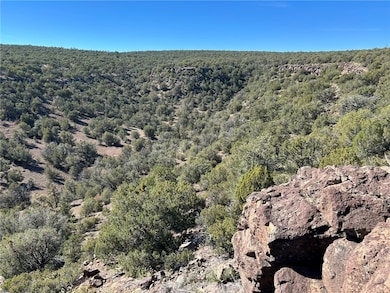 Looking west across the canyon