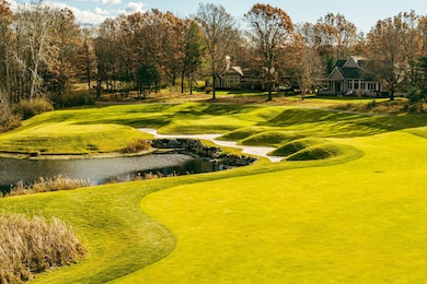 6048 Dublin Dr, Canadian Lakes, MI 49346 - photo 5