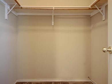 Spacious closet with dark colored carpet