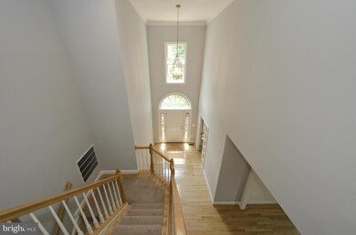 6822 Moly Dr, Falls Church, VA 22046 - photo 6