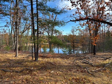 7284 Bamma Ln, Hawks, MI 49743 - photo 7