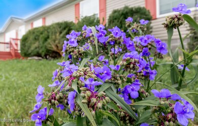 2135 Chaplin Taylorsville Rd, Bloomfield, KY 40008 - photo 7