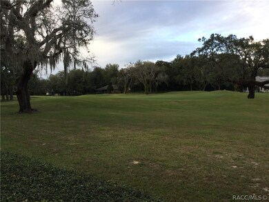 137 E Joplin Ct, Hernando, FL 34442 - photo 4