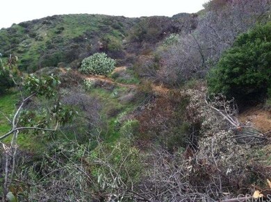 Lot 1 showing small path to view property.  Please