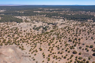 755 Juan Tomas Rd, Tijeras, NM 87059 - photo 7