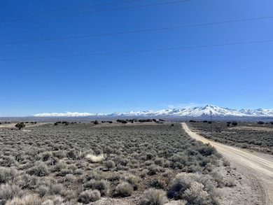 0 Lee Ave unit 3626046, Spring Creek, NV 89815 - photo 6