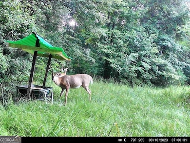 0 River Ln unit 10577862, Juliette, GA 31046 - photo 4