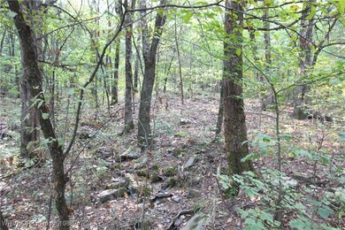 tbd Old 81 Loop, Rudy, AR 72952 - photo 5