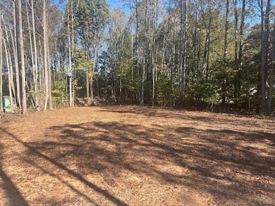 0 Locust Dr, Cascade, VA 24069 - photo 4