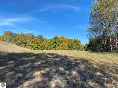 00 E Harrys Rd, Traverse City, MI 49684 - photo 4