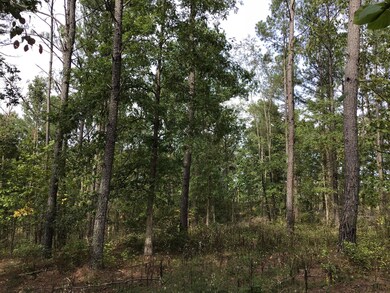 0 Sassafras Ridge Rd unit 1999753, Linden, TN 37096 - photo 4