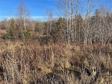 101 Morris Ave, Hinckley, MN 55037 - photo 5