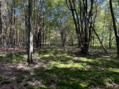 1.5 Graham Rd unit 5, Smyrna, NY 13464 - photo 6