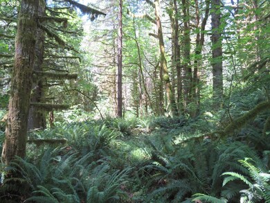 0 Deer Park Ln unit 20 19039654, Toledo, WA 98591 - photo 4