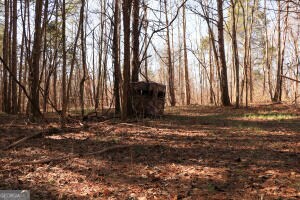 0 Puddin Ridge Rd, Flat Rock, AL 35966 - photo 5