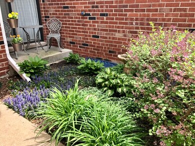 1569 S Prospect St, Wheaton, IL 60189 - photo 6