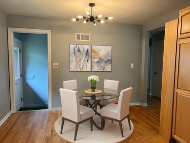 625 N Brainard St, Naperville, IL 60563 - photo 6