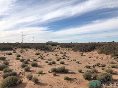 000 Sands Rd NW, Deming, NM 88030 - photo 3
