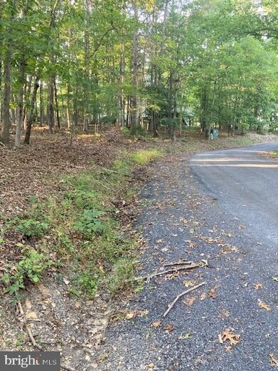 0 Nelson Way unit VASH2001076, Basye, VA 22810 - photo 5